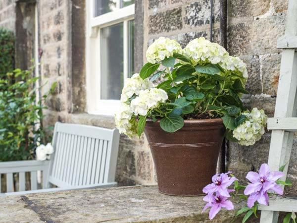 Beacon Cottage イルクリー エクステリア 写真